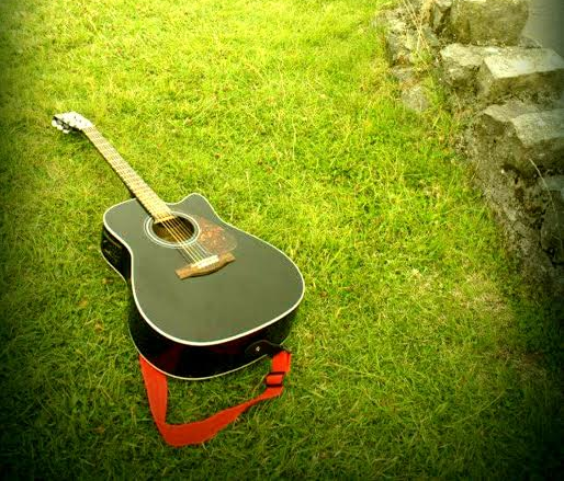 Guitar in Grass
